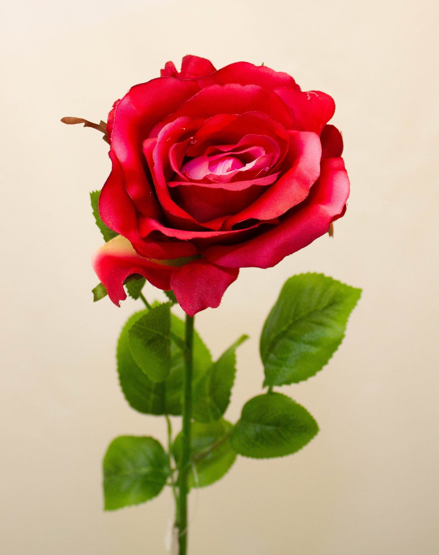 Elegance Rose Stem Beauty 68 cm - Realistic Artificial Rose with Lifelike Petals - Perfect for Floral Arrangements, Bouquets, Wreaths, and Home Décor - Long-Lasting and Low Maintenance