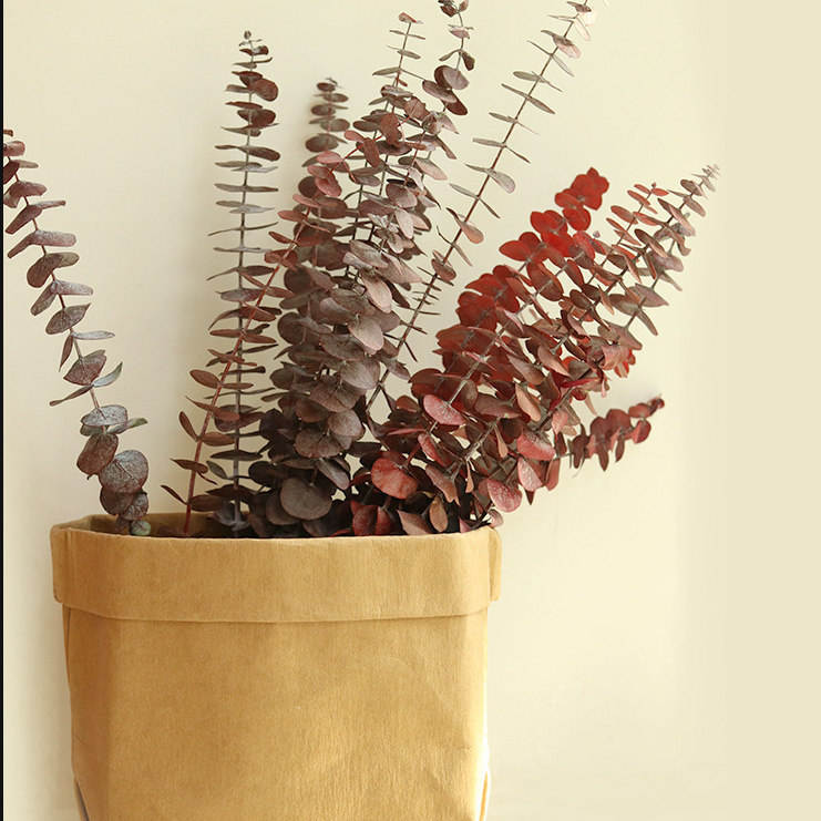 Dried eucalyptus bouquet (red) – vibrant and long-lasting decorative foliage, perfect for floral arrangements, home décor, and event styling, adds a bold and elegant touch to vases, bouquets, and centerpieces.