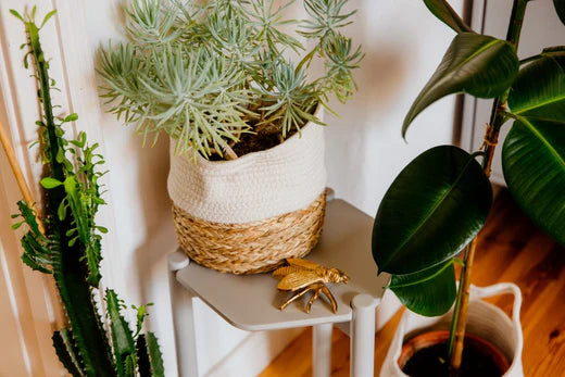 DECORATE WITH BOXES AND BASKETS