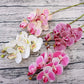 Artificial 6-Head Phalaenopsis Orchid
