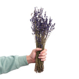 FLOWER MARKET Dried flowers lavender length 35cm