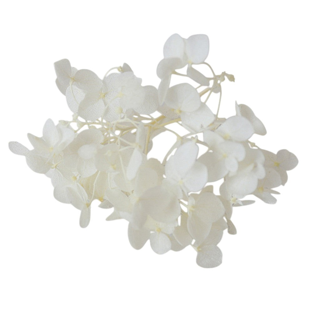 Hydrangea flower(white)