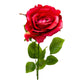 ELEGANCE ROSE STEM BEAUTY 68CM