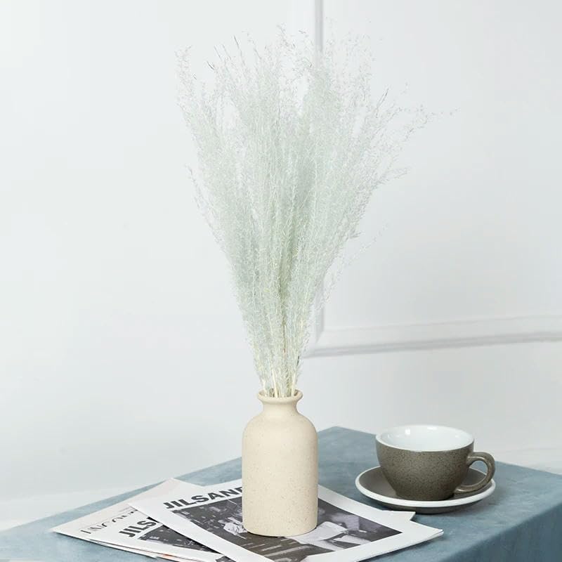 Colorful reed (white) – soft and elegant dried pampas grass, perfect for home décor, floral arrangements, and event decorations, adds a natural and bohemian touch to vases, bouquets, and centerpieces.
