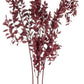 Dried eucalyptus stem (red) – vibrant and long-lasting decorative foliage, perfect for floral arrangements, home décor, and event styling, adds a bold and elegant touch to vases, bouquets, and centerpieces.