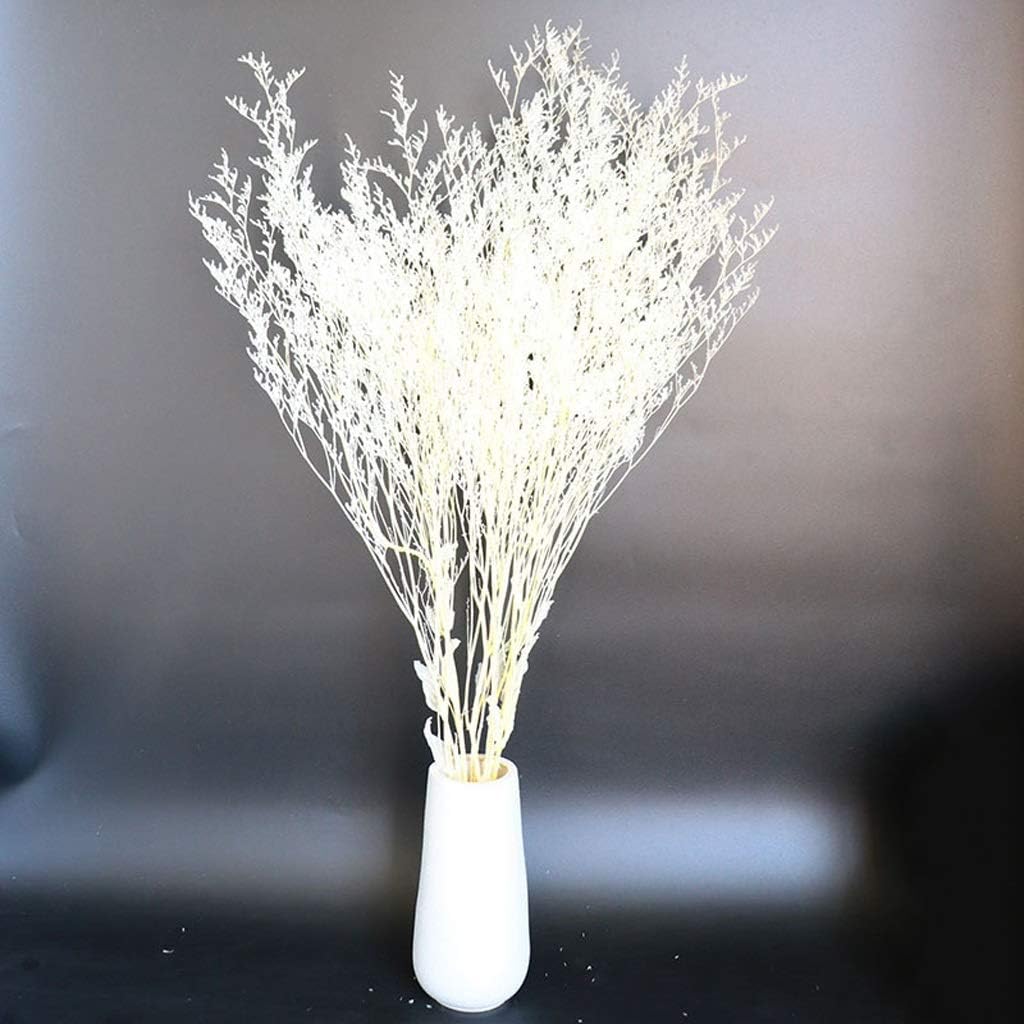 Colorful reed (white) – soft and elegant dried pampas grass, perfect for home décor, floral arrangements, and event decorations, adds a natural and bohemian touch to vases, bouquets, and centerpieces.