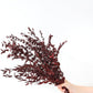 Dried eucalyptus stem (red) – vibrant and long-lasting decorative foliage, perfect for floral arrangements, home décor, and event styling, adds a bold and elegant touch to vases, bouquets, and centerpieces.