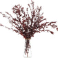 Dried eucalyptus stem (red) – vibrant and long-lasting decorative foliage, perfect for floral arrangements, home décor, and event styling, adds a bold and elegant touch to vases, bouquets, and centerpieces.