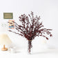 Dried eucalyptus stem (red) – vibrant and long-lasting decorative foliage, perfect for floral arrangements, home décor, and event styling, adds a bold and elegant touch to vases, bouquets, and centerpieces.