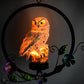 Solar Owl LED Hanging Light