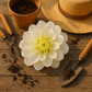 34 cm Artificial Dahlia Flower Realistic Fake Dahlia Bouquet for Home Décor Wedding Arrangements Centerpieces and Floral Displays Lifelike Faux Dahlia with Soft Petals and Durable Stems