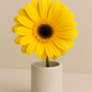 Artificial Daisy Silk Gerbera Daisy Realistic Fake Daisy Flowers for Home Décor Wedding Arrangements Centerpieces and Floral Displays Lifelike Faux Gerbera Daisies with Soft Petals and Sturdy Stems