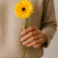 Artificial Daisy Silk Gerbera Daisy Realistic Fake Daisy Flowers for Home Décor Wedding Arrangements Centerpieces and Floral Displays Lifelike Faux Gerbera Daisies with Soft Petals and Sturdy Stems