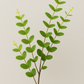 Eucalyptus Spray Green - Realistic Artificial Eucalyptus Stem with Lush Green Leaves - Perfect for Floral Arrangements, Wreaths, Bouquets, and Home Décor - Long-Lasting and Low Maintenance