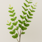 Eucalyptus Spray Green - Realistic Artificial Eucalyptus Stem with Lush Green Leaves - Perfect for Floral Arrangements, Wreaths, Bouquets, and Home Décor - Long-Lasting and Low Maintenance