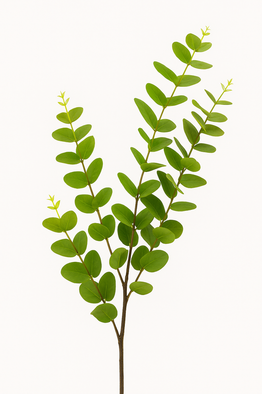 Eucalyptus Spray Green - Realistic Artificial Eucalyptus Stem with Lush Green Leaves - Perfect for Floral Arrangements, Wreaths, Bouquets, and Home Décor - Long-Lasting and Low Maintenance