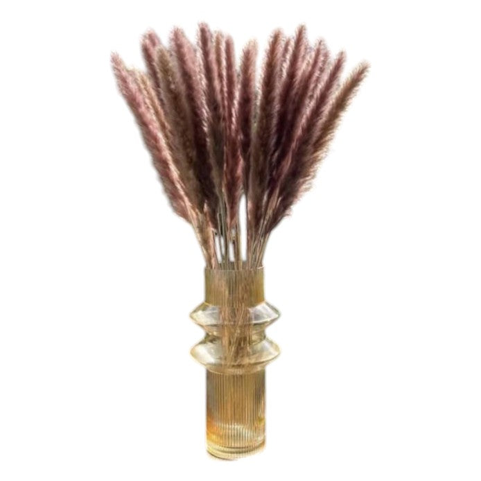 Dried Pampas Grass brown