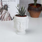 Buddha Head Succulent Pot