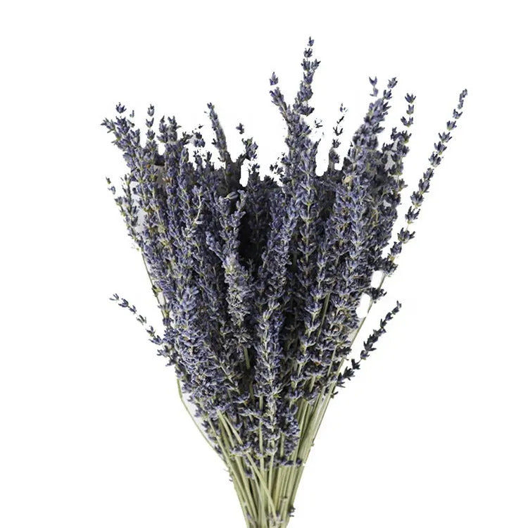 Natural Dried Lavender Flowers - Everlasting Purple Decorative Flowers for Home Decor and Crafts