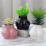 Mini Ceramic Body Art Ass succulent holder