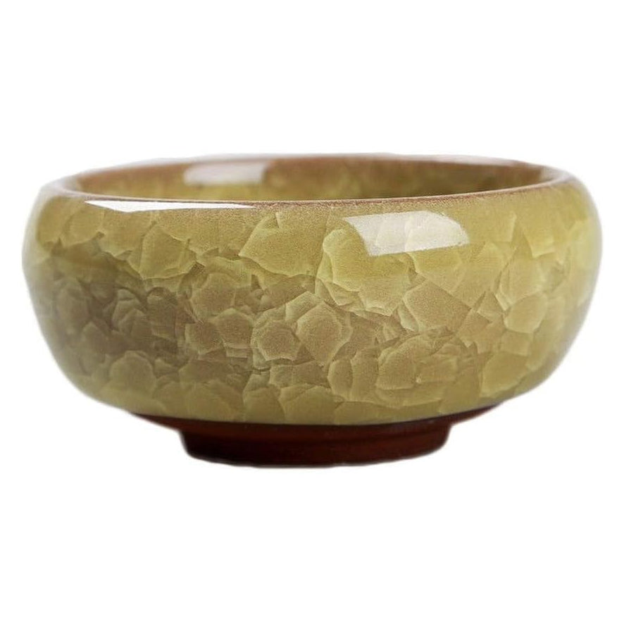 Round Ceramic Teacup for juicy cactus planter or mini succulent