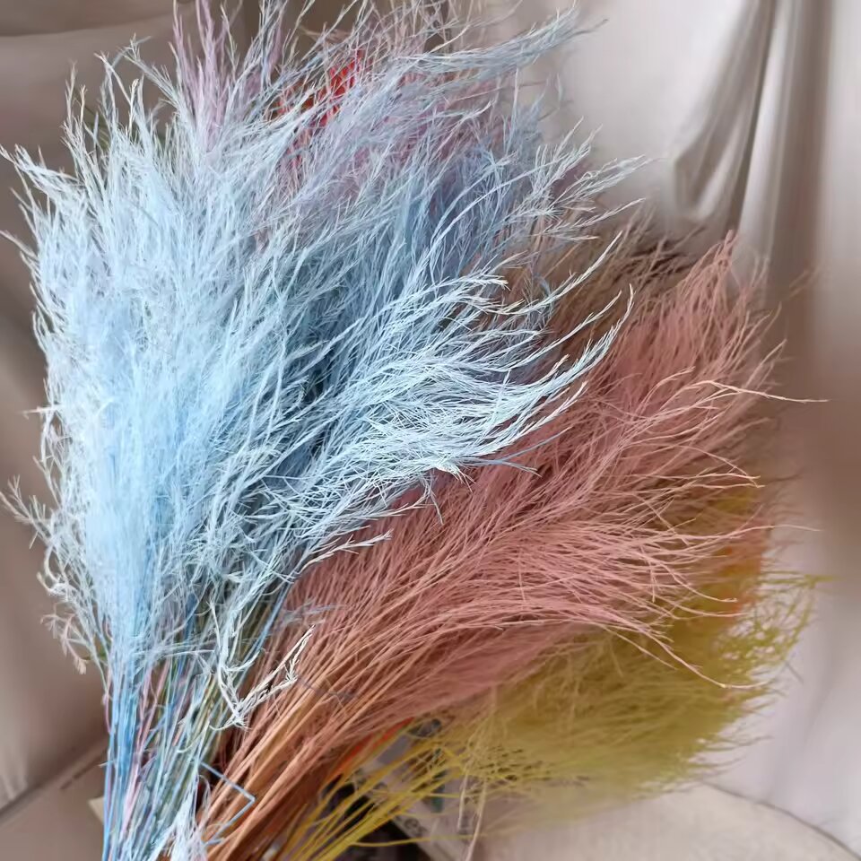 Colorful reed (blue) – soft and elegant dried pampas grass, perfect for home décor, floral arrangements, and event decorations, adds a natural and bohemian touch to vases, bouquets, and centerpieces.