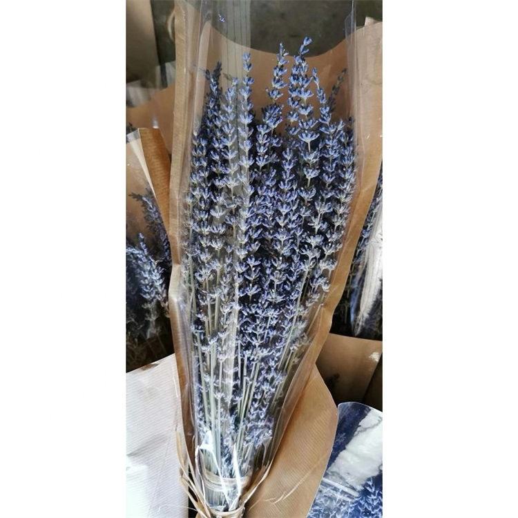 Dried Lavender flower