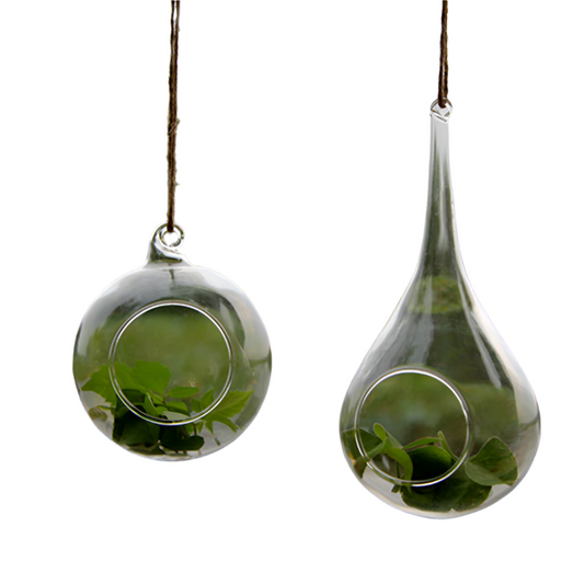 glass hanging plant ornament   dia 10 cm