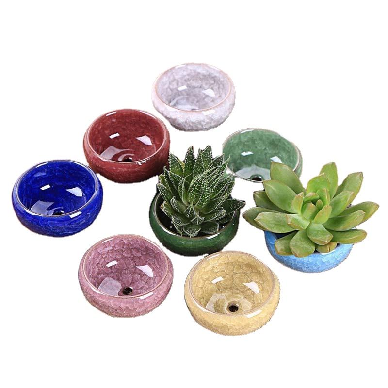 Round Ceramic Teacup for juicy cactus planter or mini succulent