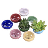 Round Ceramic Teacup for juicy cactus planter or mini succulent