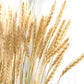 barley