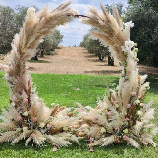 Dried Pampas Grass white