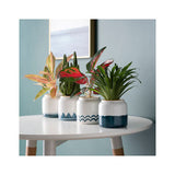 Horizontal flowerpot