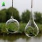 glass hanging plant ornament 9x18 cm