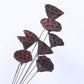 single seedpod of the lotus
