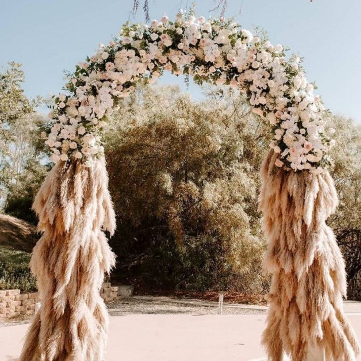 Dried Pampas Grass white