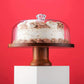 Cake Stand Cake Plate Server Platter with Dome, Acacia Wood wooden candle stick