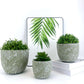 Large Green Cement Flowerpot - Nordic Design Style, Eco-Friendly, Round Shape, 17x17x14 CM