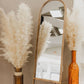 Dried Pampas Grass white