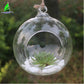 glass hanging plant ornament 9x18 cm