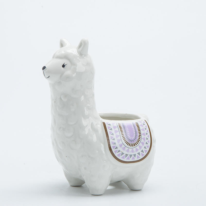 Creative Personality Alpacca