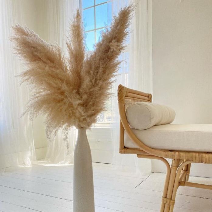 Dried Pampas Grass white