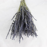 Natural Dried Lavender Flowers - Everlasting Purple Decorative Flowers for Home Decor and Crafts