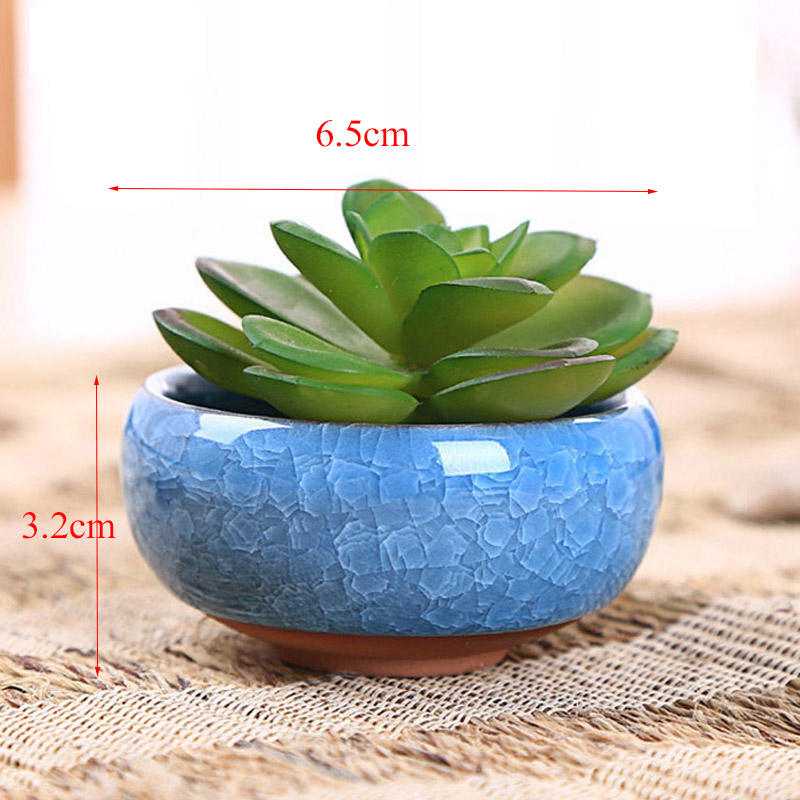 Round Ceramic Teacup for juicy cactus planter or mini succulent