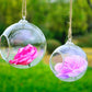 glass hanging plant ornament 9x18 cm