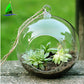 glass hanging plant ornament 9x18 cm