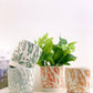 GREEN CERAMIC FLOWERPOT WITH TRAY