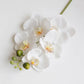Artificial 6-Head Phalaenopsis Orchid