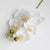 Artificial 6-Head Phalaenopsis Orchid