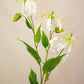 Gloriosa Spray Ivory - Realistic Artificial Gloriosa Stem with Elegant Ivory Blooms - Perfect for Floral Arrangements, Bouquets, Wreaths, and Home Décor - Long-Lasting and Low Maintenance